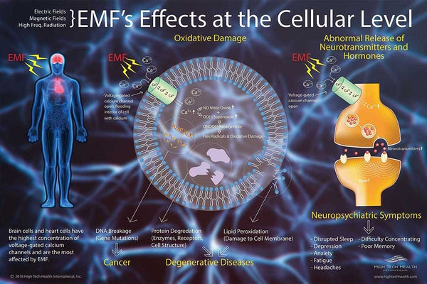 What is EMF? Is EMF bad for you?