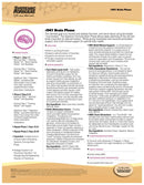 BRAIN PHASE by Systemic Formulas