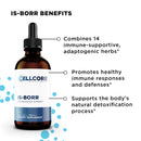 Phase 5: Deeper Immune Support by CellCore