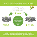 EC3 Mold Solution Spray by Microbalance Health Products
