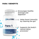 Phase 2: Gut & Immune Support by CellCore