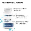 Phase 2: Gut & Immune Support by CellCore