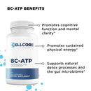 Phase 2: Gut & Immune Support by CellCore