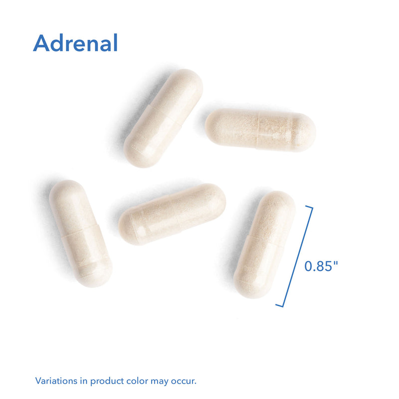 Adrenal Natural Glandular 100mg 150 Vegicaps by Allergy Research Group
