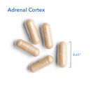 Adrenal Cortex Natural Glandular 100mg 100 Vegicaps by Allergy Research Group