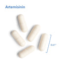 Artemisinin Pure Qinghaosu 100 mg 90 vegetarian capsules by Allergy Research Group