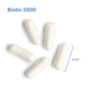 Biotin 5000 60 Vegetarian Capsules by Allergy Research Group