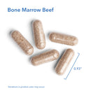 Bone Marrow Beef Natural Glandular 500 mg 100 vegicaps by Allergy Research Group
