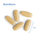 BrainStorm® Neurotransmitter Support Formula* 60 tablets by Allergy Research Group