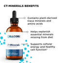 Detox Support Kit by CellCore