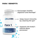 Intestinal Permeability Kit by CellCore