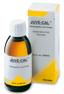 JUVE-CAL 250 ml syrup by PEKANA®