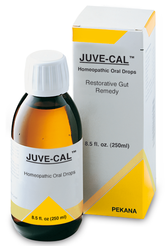 JUVE-CAL 250 ml syrup by PEKANA®