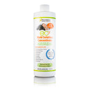 EC3 Mold Solution Concentrate by Microbalance Health Products