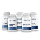 Phase 2: Gut & Immune Support by CellCore