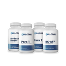 Step 2: Gut & Immune Support by CellCore