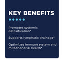 Step 4: Systemic Detox by CellCore