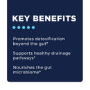 Phase 4A: Systemic Detox by CellCore