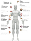 imuno® - Superior Immune Support - GcMAF Made Better 3ml