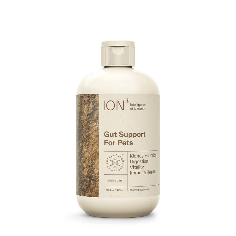 ION* Gut Support For Pets 16 fl oz.